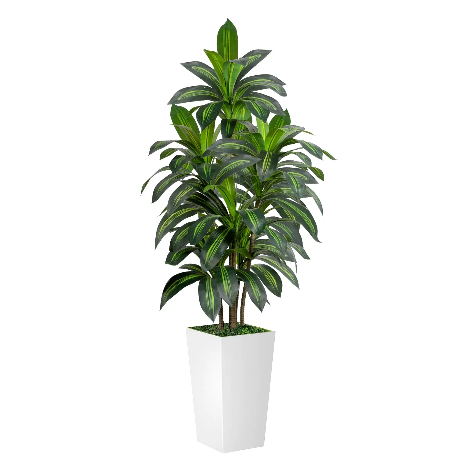 Dracaena Tree 6FT Artificial, 60in Tall Faux Dracaena Tree with 15.7 White Planter, Fake Potted Tree for Indoor & Outdoor Home Office Decor