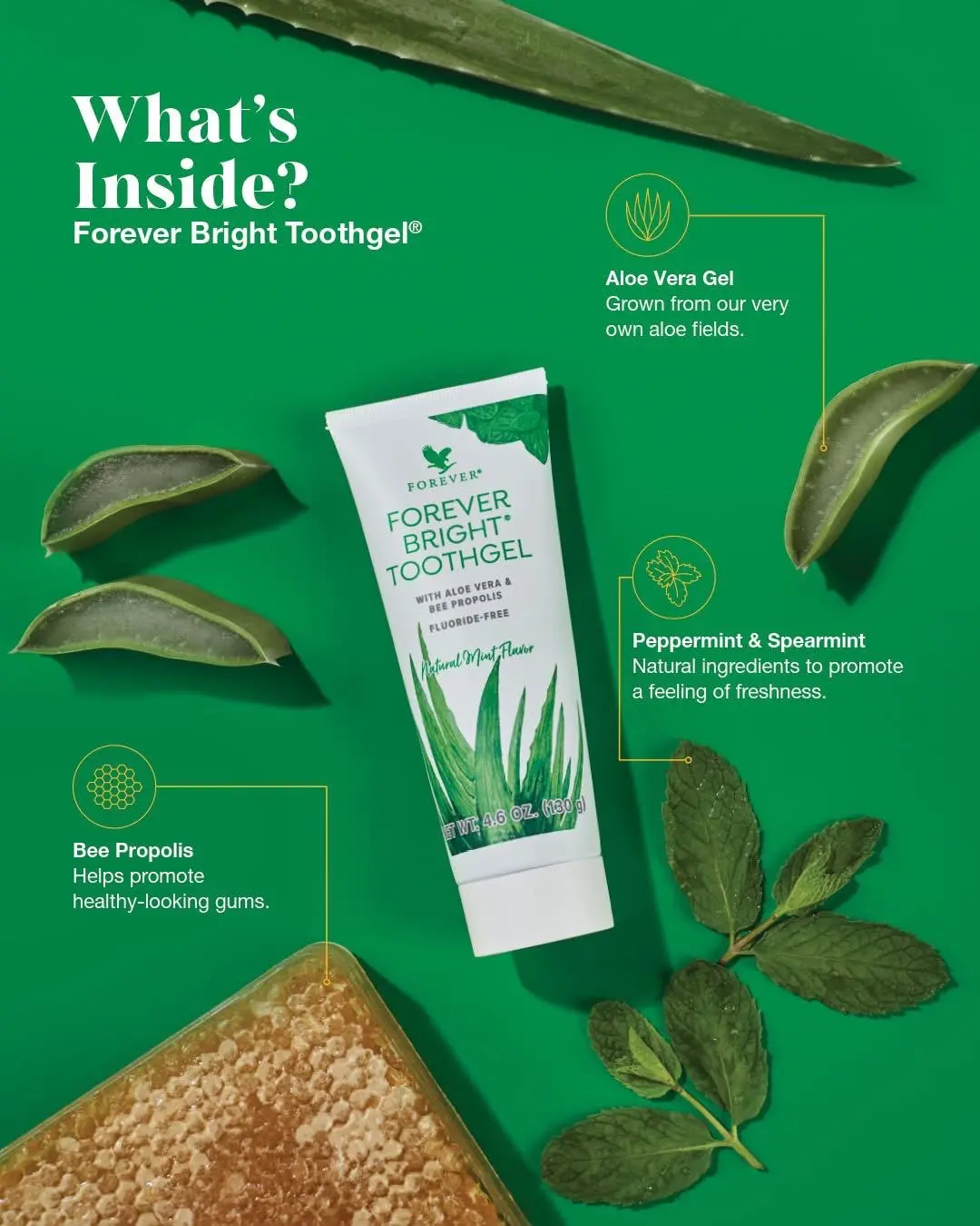 FOREVER Bright TOOTHGEL with Aloe Vera & Bee Propolis Fluoride-Free Formula for Sparkling Teeth Fresh Breath Natural Mint Flavor