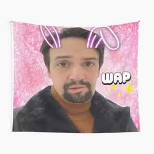 Hamilton Tapestry for Bedroom, College Dorm and Home Decor 60"x40", Funny Meme Wall Tapestries for Boy Girl Birthday Gifts