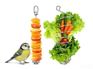 2pc Parrot Fruit Vegetable Skewer Feeder