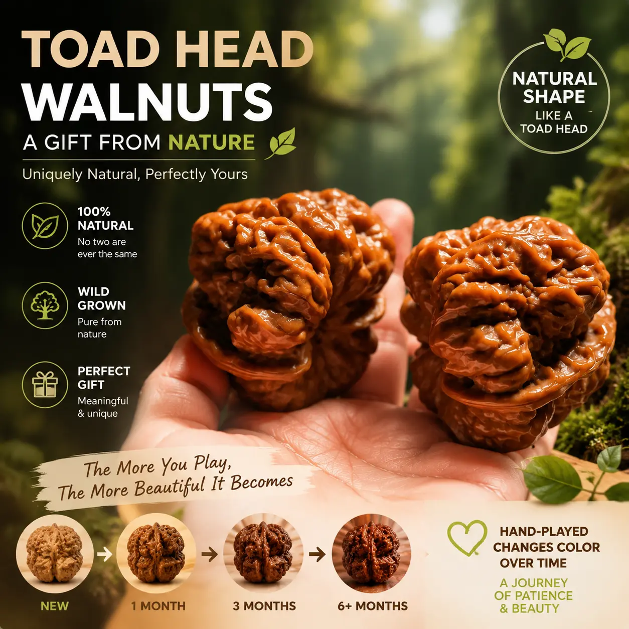 Natural Chinese Toad Head Walnut Hand Fidget Toy - Pocket-Sized Premium Collectible for Walnut Enthusiasts, Therapeutic Unique Time Art Craft, Pressure-Relief Rolling Tool, Includes Steel Wire Brush Care Kit