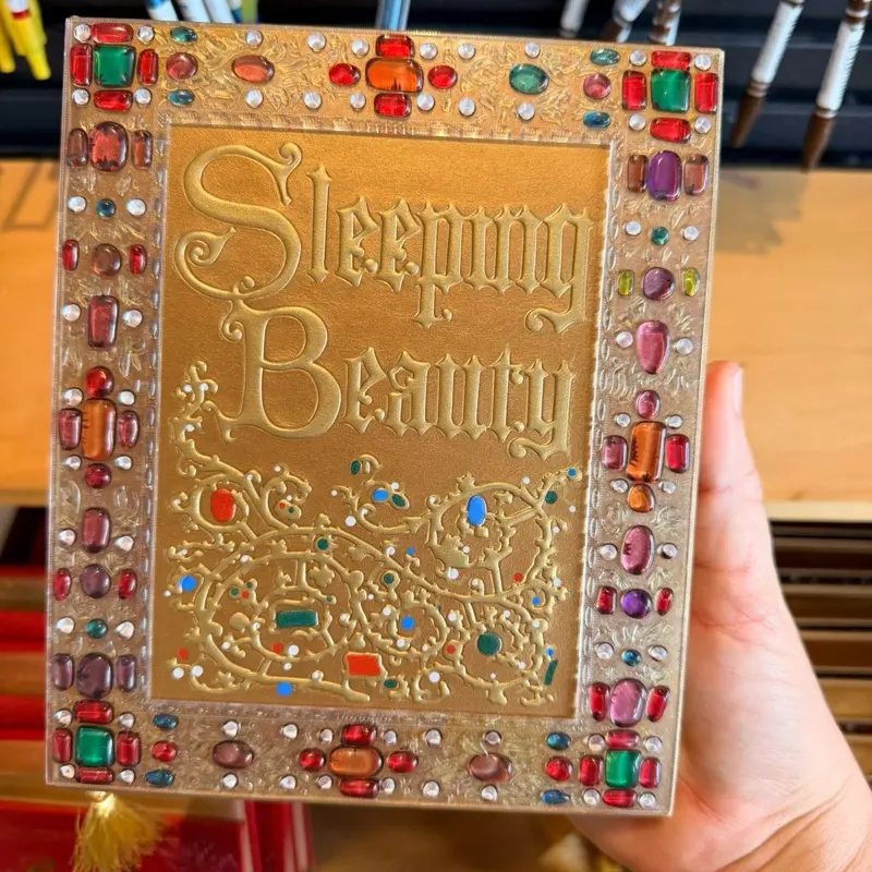 Disney Parks Sleeping Beauty-Style Blank Journal Book