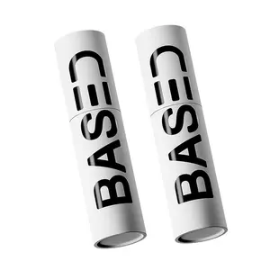 2 PCS BASED Hair Texture Powder | Instant Volume & Texture | Lightweight, Matte Finish | Simple, Effective, BASED.