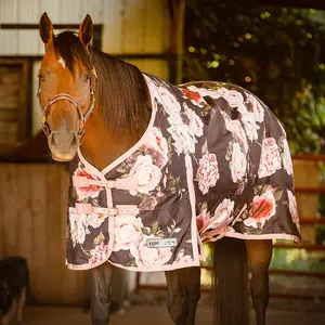 Jeffers Expression 1200 Denier Standard Neck Turnout Horse Blanket 240 Gram Waterproof Breathable Polyfill Adjustable Elastic Straps