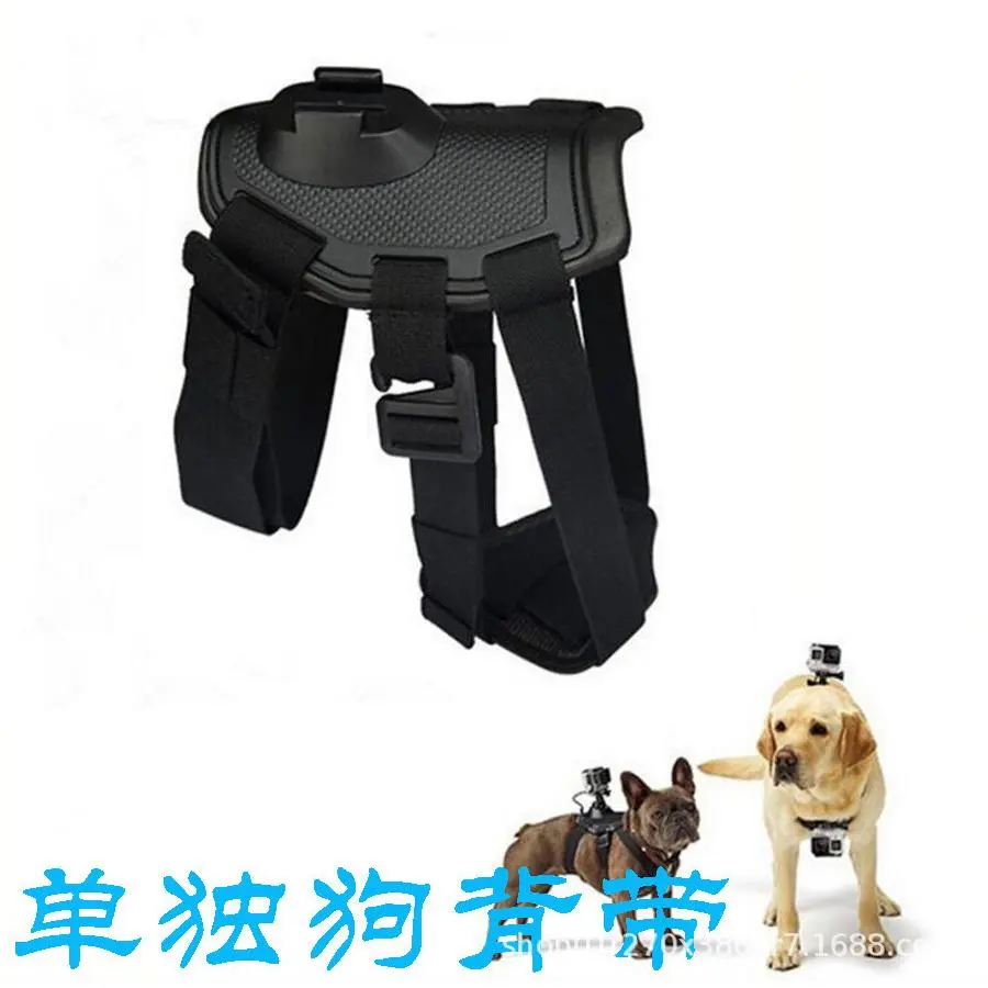 dog harness