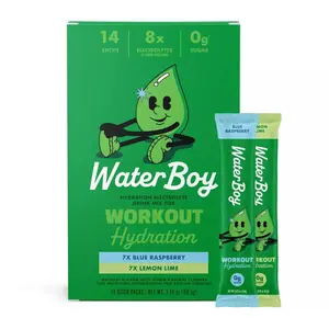 Waterboy Workout Hydration Sports Drink Variety Pack - Blue Raspberry+Lemon Lime