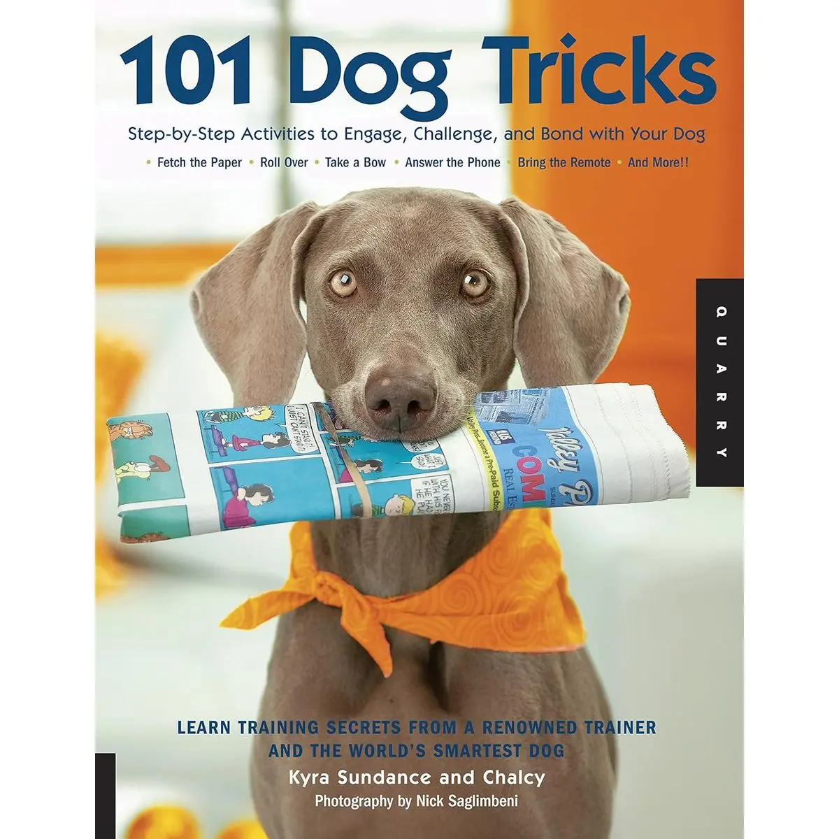 101 Dog Tricks: Step by Step Activities to Engage, Challenge, and Bond with Your Dog (Volume 1) (Dog Tricks and Training, 1) Paperback – Illustrated, April 1, 2007