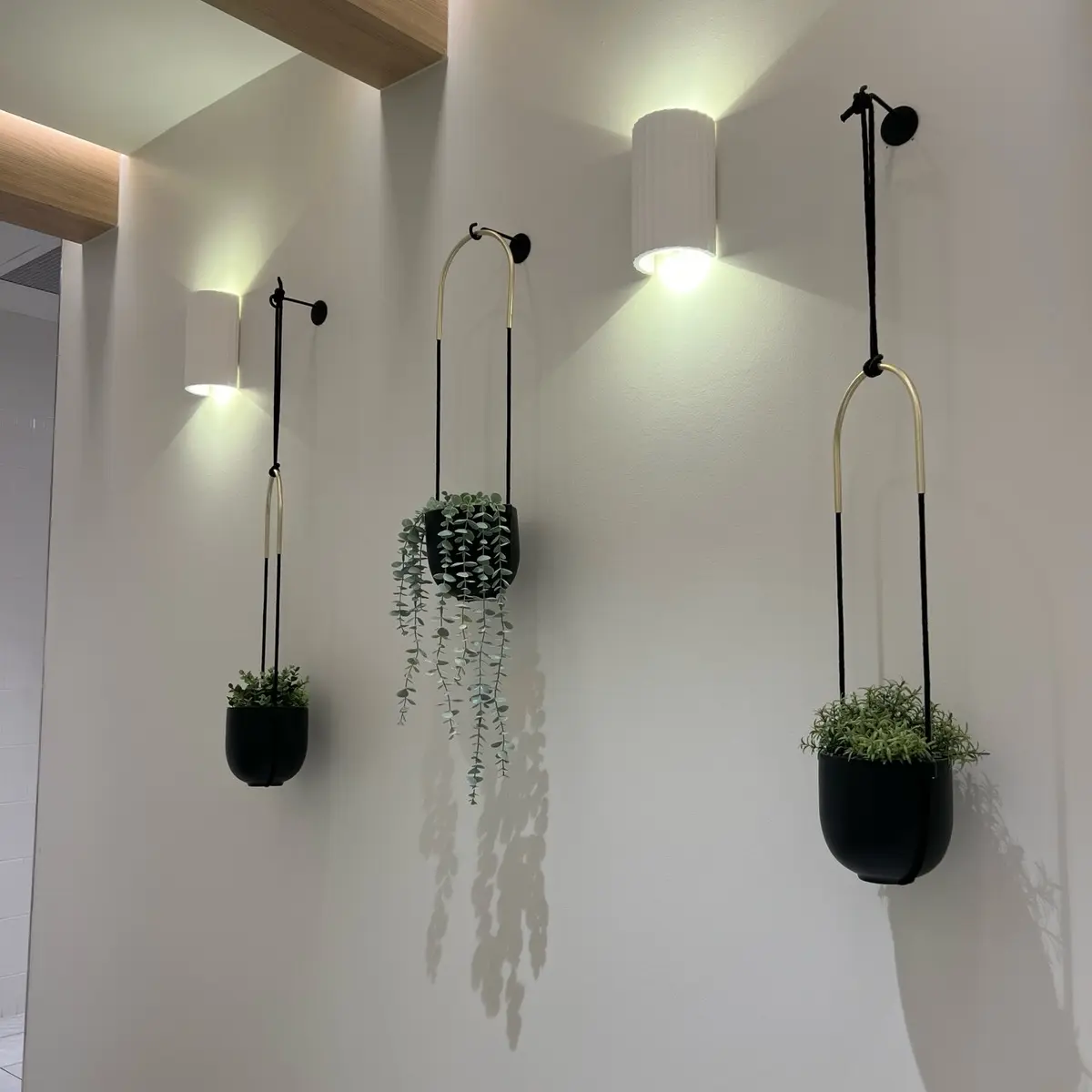 Wall Plant Hanger Wall Plant Hanger