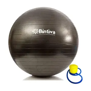 Bintiva 75cm Swiss Exercise Ball