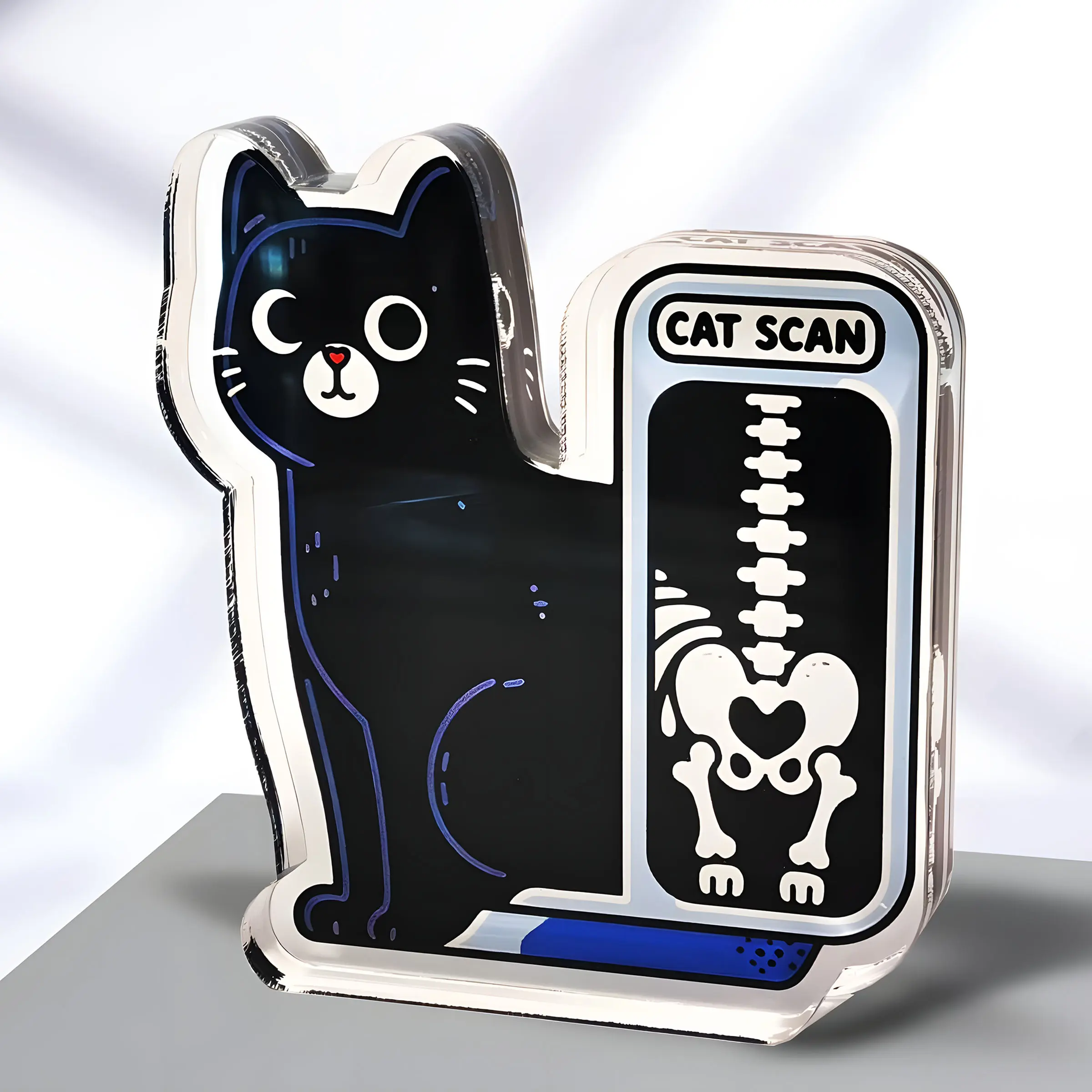 Funny Gift X-Ray Cat Scan Decorative Sign, Acrylic Desk Marker for Veterinary Nurses Doctors Orthopedic Home Office Accessories