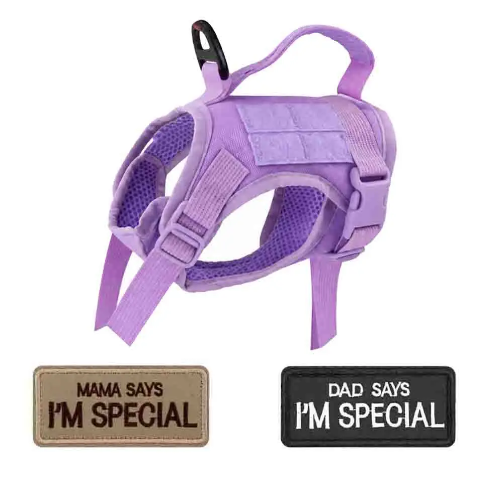 Purple Harness