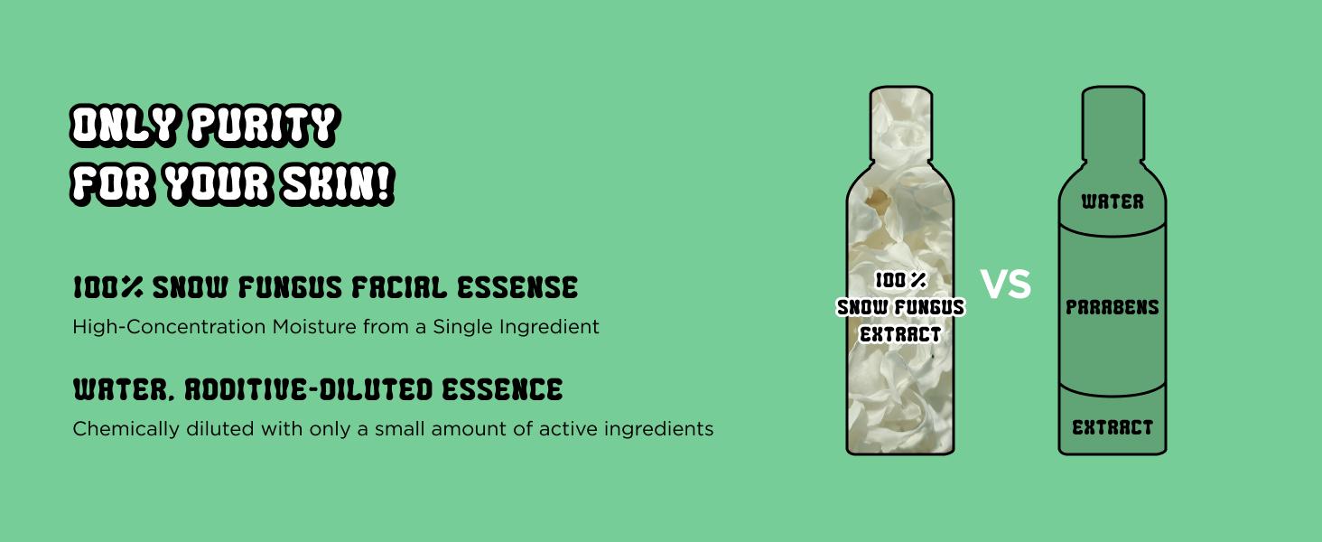 CHASIN' RABBITS Magic Beauty Shroom Essence | Korean Skin Care Nourishing and Hydrating Essence | Boosting Skin Care Essence with Tremella Mushroom Extract for Sensitive, Dry Skin (200mL/6.76 fl oz)