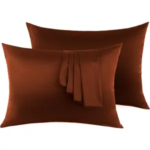 100% Silk Pillow 2 Pack, Mulberry Silk Pillowcase for Hair and Skin with Hidden Zipper, Soft Breathable Cooling Silk Pillowcase for Sleeping (Chocolate, Standard)