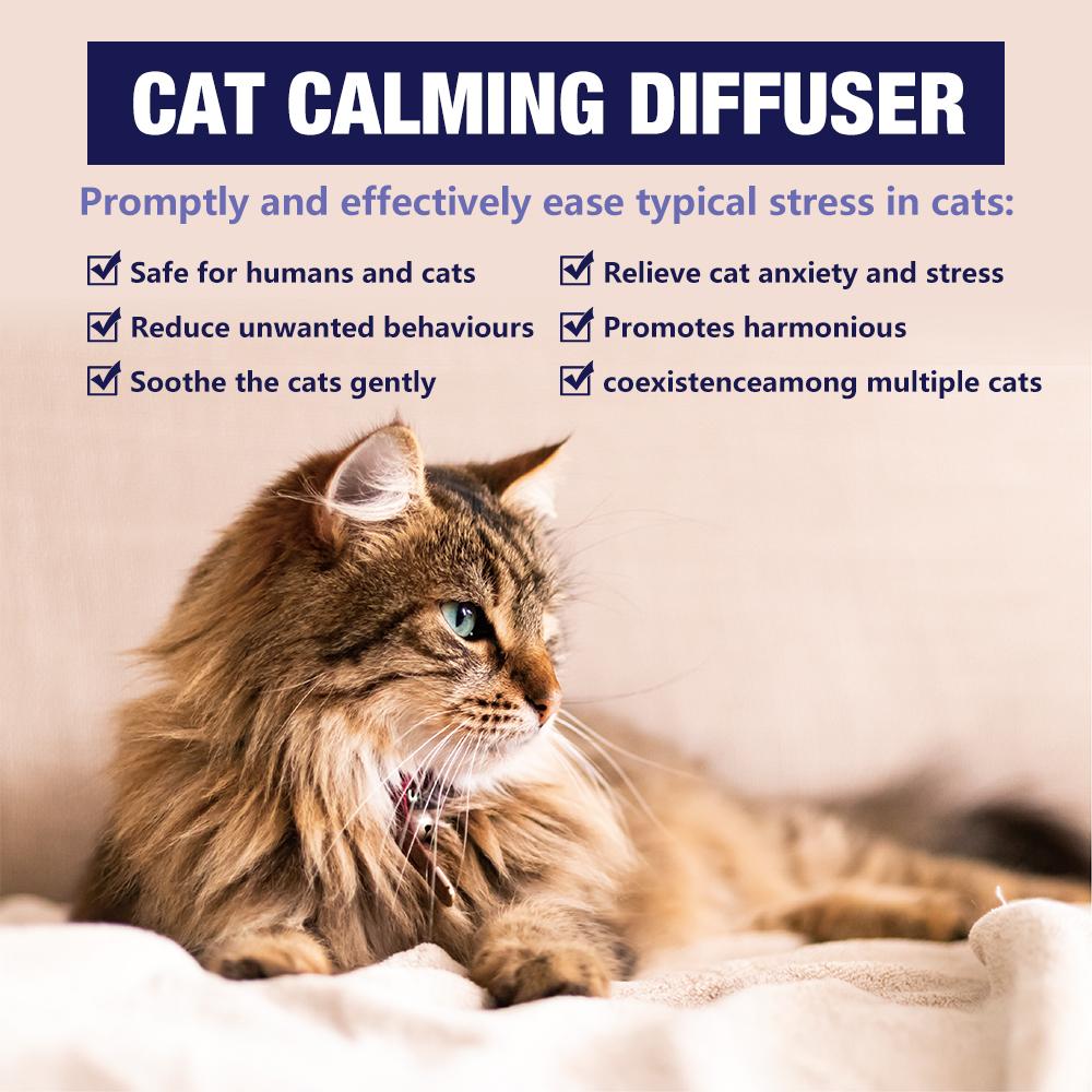 SoothePaws Cat Calming Pheromone Diffuser Kit — 1D+1R or 1D+2R (48 ml Refills) | Unscented & Drug-Free | Helps Reduce Scratching, Spraying, Hiding & Meowing | ~30 Days per Refill | Covers up to ~700 sq ft per Diffuser | 110–220V