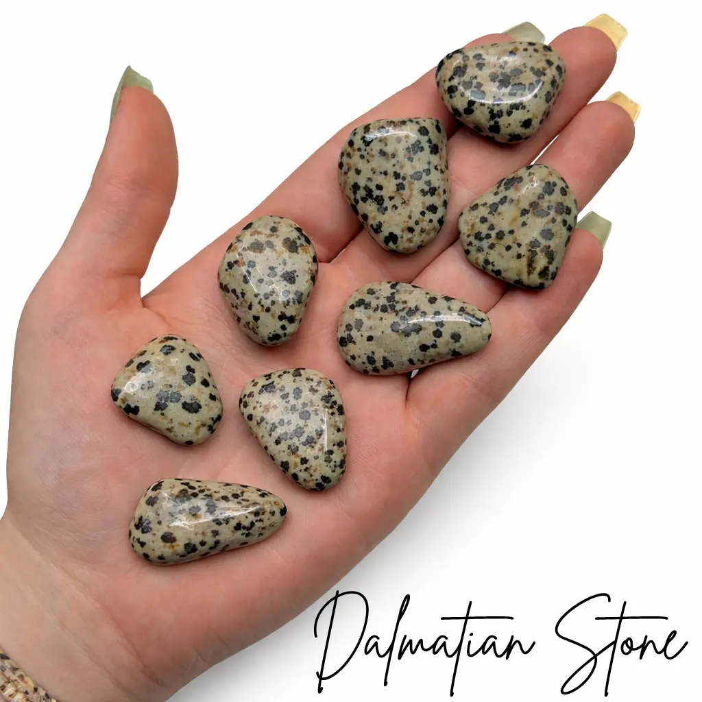 Dalmatian Stone, Tumbled Dalmatian Stone, Dalmatian Jasper, Healing Dalmatian Jasper