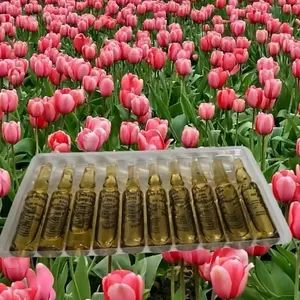 Universal flowers chocolate ti anpoul Dessert Snack