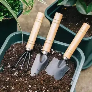 3-Piece Succulent Gardening Tool Set, Durable Metal & Wood Hand Tools Include Spade, Shovel, Rake, Perfect for Manual Potting and Planting Handle