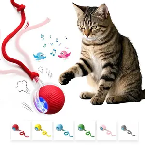 Cat Dog Interactive Entertainment Ball Toy, Rechargeable Automatic Rolling Ball with Bird Sound, Anti-Loneliness Pet Plaything for Home Use