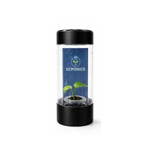 Monstera Esqueleto - Starter Plant in ECPonics Capsule (Easy Grow, No Shock)