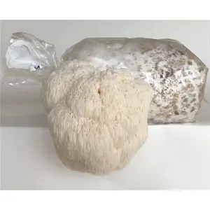 Lions Mane Mushroom Grow Kit - 1 Set with Growing Kit & Instructions for Indoor/Outdoor Use - Includes Bag for Fruit Block