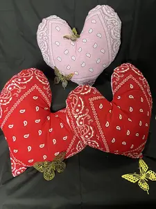 Bandit Heart Pillow