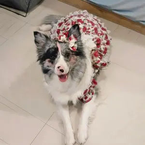 Spring & Summer Thin Anti-Shedding Dog Dress for Medium & Large Dogs, Rose Princess Style Dog Skirt, Costumes