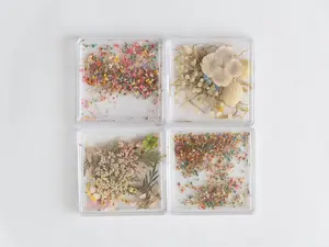 Real Dried Flower Nail Art – Colorful Mini Petals for Press On Nails
