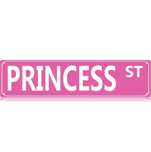 Princess St Metal Street Tin Sign Funny Slim Signs 16 x 4 Inch Wall Art Decor Iron Tin Plate for Home Farmhouse Bar Cafe Garage Indoor Outdoor Gift Decoration Decorating - Signage