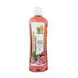 Natural Sant Onion, Rosemary and Biotin Shampoo for all hair types (16 flOz/500 ml)
