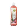 Natural Sant Onion, Rosemary and Biotin Shampoo for all hair types (16 flOz/500 ml)
