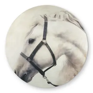 360 Stand Darius White Horse Printed Face Round Rug, 5x5 ft, Round Shape, Animal Motifs, Western Theme Decor, Weatherproof, Indoor-Outdoor Use for Home Spaces, Durable Area Rugs, Home Decor Rugs