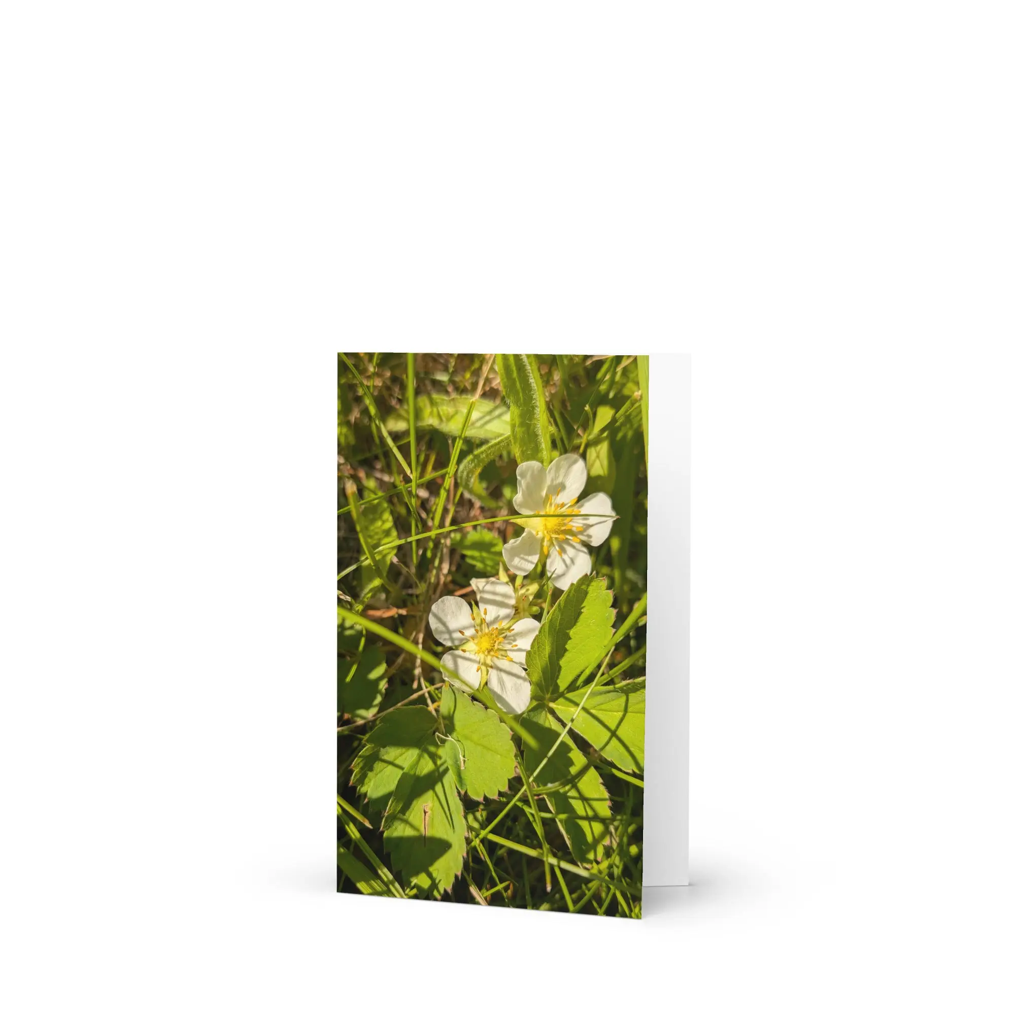 Greeting card