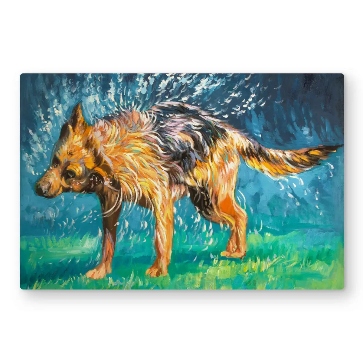 Begin Home Decor C1MP2030FO301D 20 x 30 in. Spin-Dry Wet German Shepherd Wall Art - Dog Livingroom Metal Print