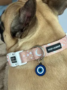 Evil Eye Dog Collar Charm