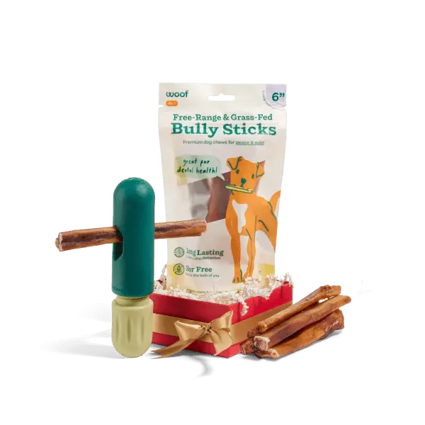 Woof BullySafe + BullyStick Starter Pack