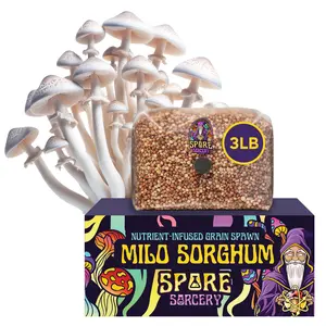 Spore Sorcery | Milo Sorghum Grain Spawn | Sterilized Grain For Growing Mushrooms