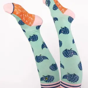 Hedgehog Compression Socks