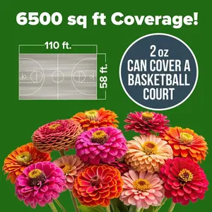 “Zinnia Seeds for Beginners – Low Maintenance, Long Blooming Flowers, Great for Garden Beds & Containers”