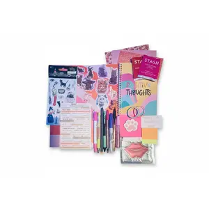 20 Item Cat Themed Journaling Bundle