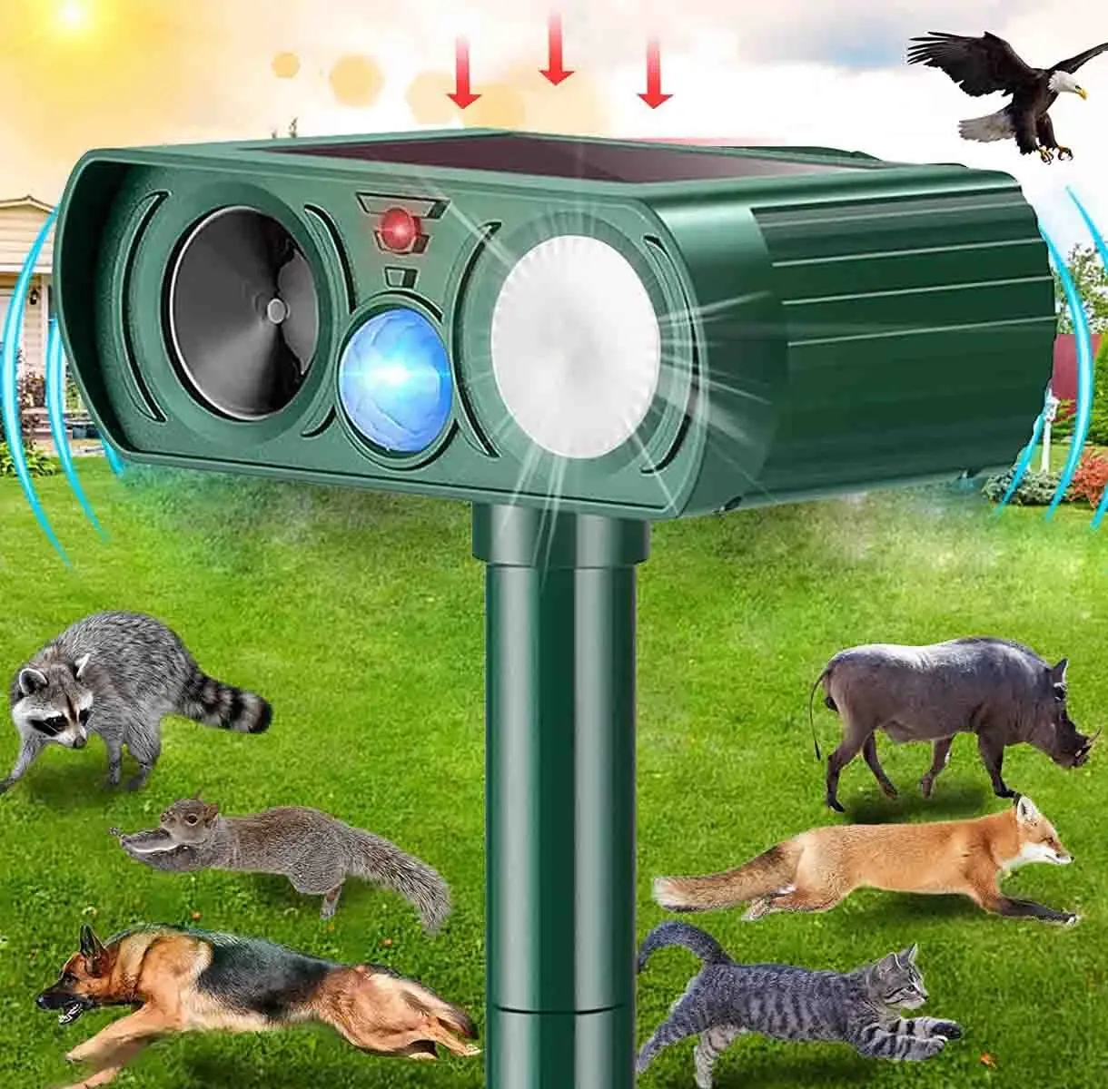 Solar Powered Outdoor Animal Repeller, Motion Sensor & Flashing Lights, Waterproof Upgraded Deterrent for Deer, Cats, Squirrels, Rabbits, Raccoons, Foxes, Skunks, Electronic Pest Repellent for Yard Garden Fly Scare Devices