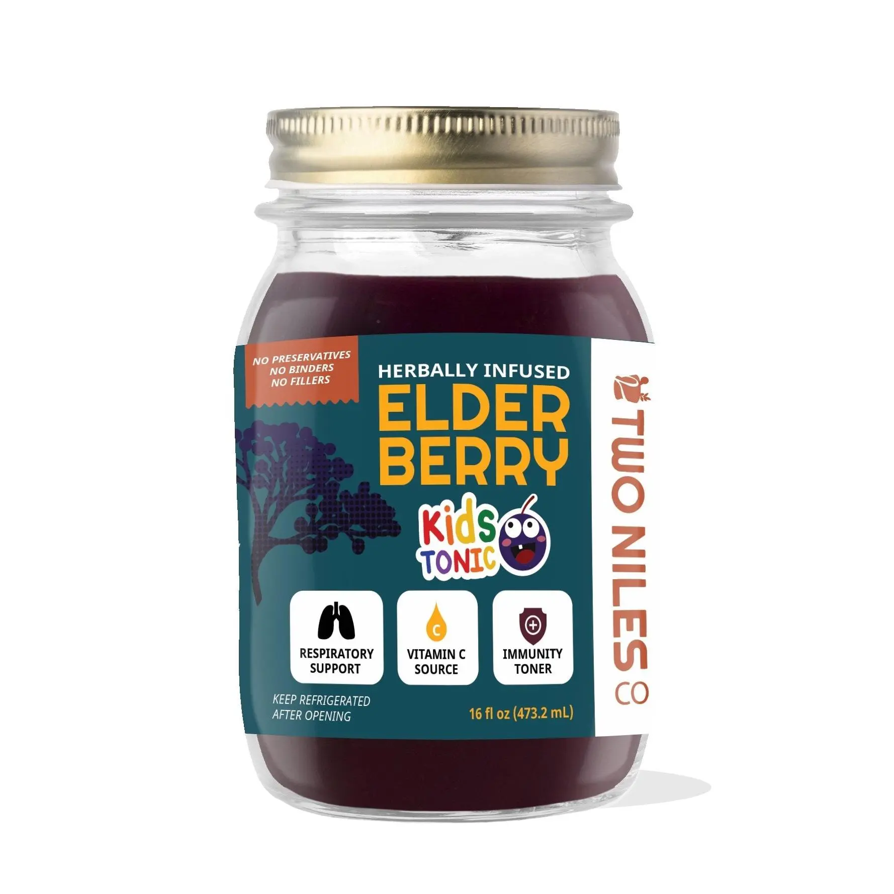 Elderberry Tonic (Kid Friendly)