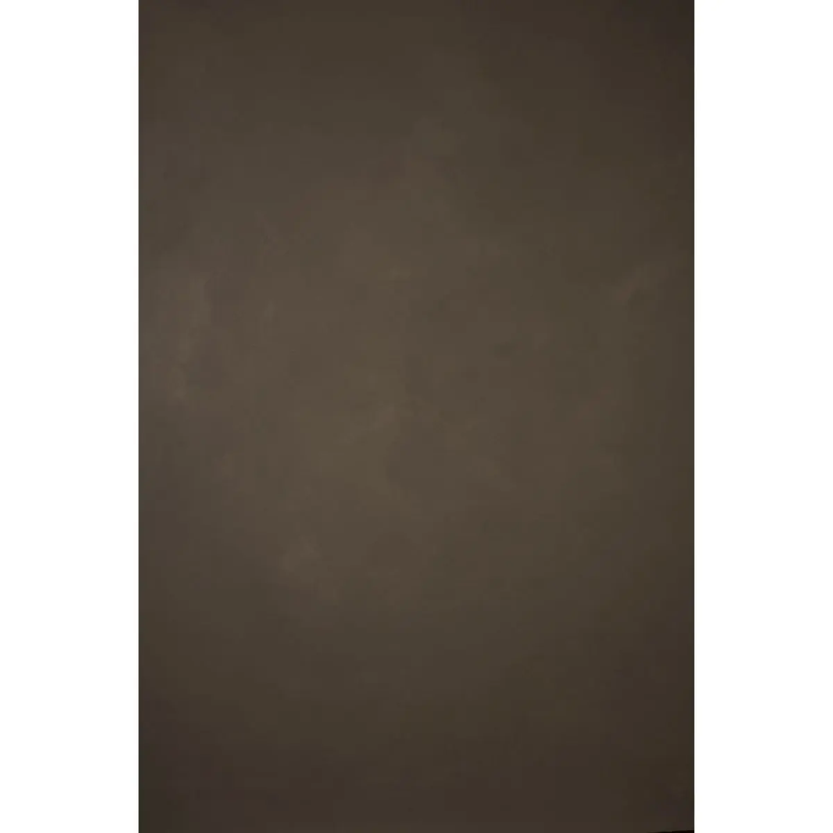 Gravity Backdrops Hand Painted Classic Collection Canvas Low Texture Acrylic Luminous Duck Camera Backdrop, 8.9x13ft, Warm Gray Camera Accessory