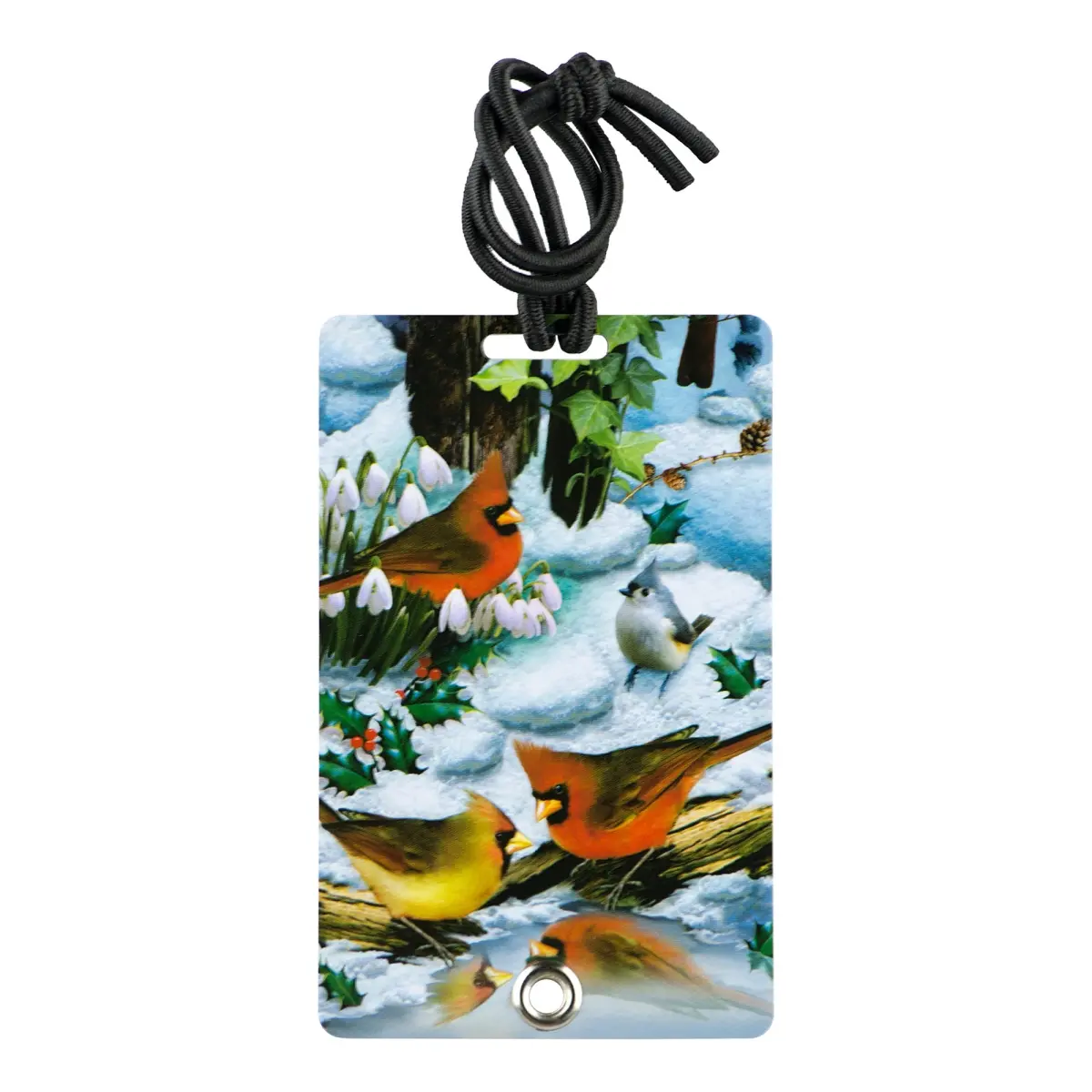 212 MAIN 2034 Waterproof PVC Luggage Tag - Bag Charm Keychain, Credit Card Size, Hidden Information, Rivet Fastener, Secure, Compatible with Backpacks, Pet Carriers