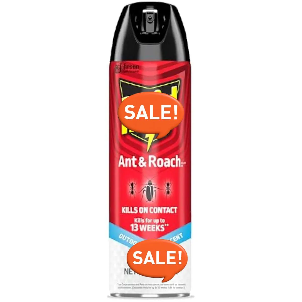 Ant and Roach Spray, Outdoor Fresh Scent, 17.5 oz – Indoor and Outdoor Household Use, Easy Application
