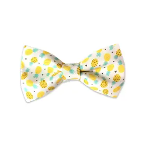 Dog Collar Bow Tie | Pineapple Dog Collar Bow Tie | Duke & Fox®