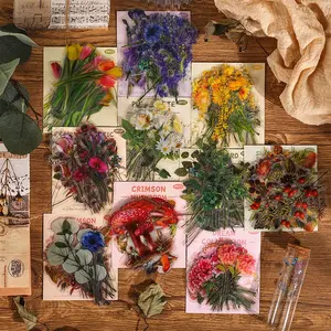 A SET FOR 4 PACKS Natural History Museum journal stickers – vintage botanical, floral, leaf & mushroom PET transparent stickers for kids, DIY scrapbooking, cup decoration, waterproof crafts. Crafting Kit Handcraft