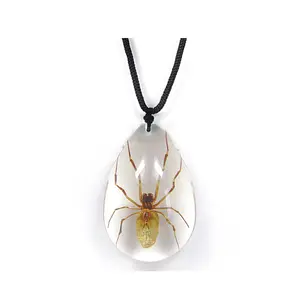 Clear Pendant Necklace with Real Spider