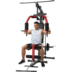All in One Home Gym Equipment, Weight Machine with 100 Lbs Weight Stack, Workout Station Exercise Machine for Full Body Workout with Pulley System, LAT Pull Down System