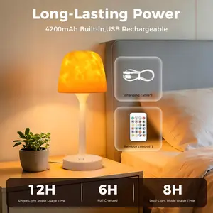 LED Desk Lamp, 3-Color/16-Color Dimming – Features a variety of rippling light effects. Rechargeable model. Includes a free waterproof lampshade. Ideal for bedrooms, living rooms, home offices, and other indoor spaces.
