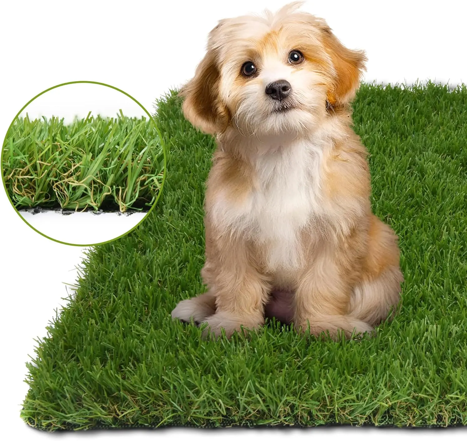 COOLCHOICE Odor-Free Artificial Turf Pads, 3cm Recycled PE Fake Grass with Drainage Holes, 3ft x 5ft Multi-Size Option, UV-Flame Resistant Natural-Look Mat for Dog Potty Training, Patio
